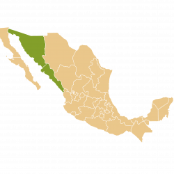 Sonora - Sinaloa